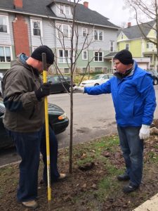 Tree Planting